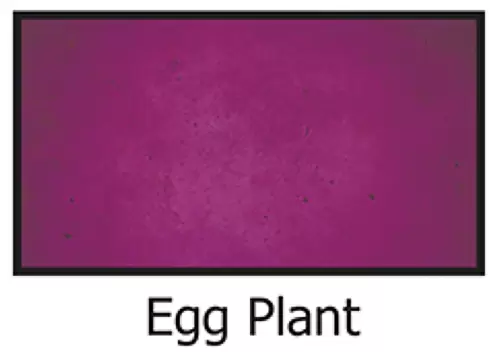 Egg-Plant 